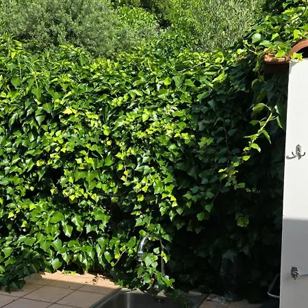 Margherita Маратея